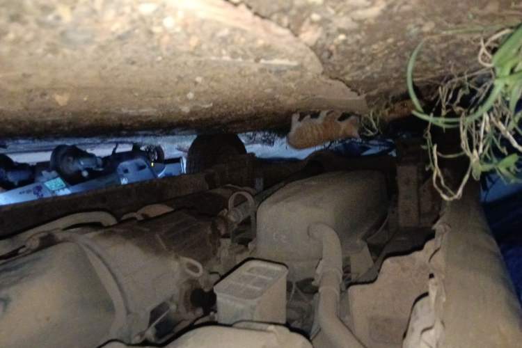 Used Karry Youyou 2012 1.2L Extended Standard Version Chassis Front Right