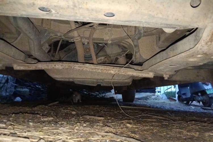 Used Karry Youyou 2012 1.2L Extended Standard Version Chassis Front