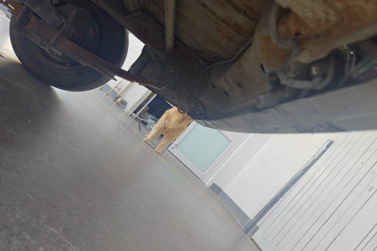 Used Karry Youyou EV  Chassis Rear Left