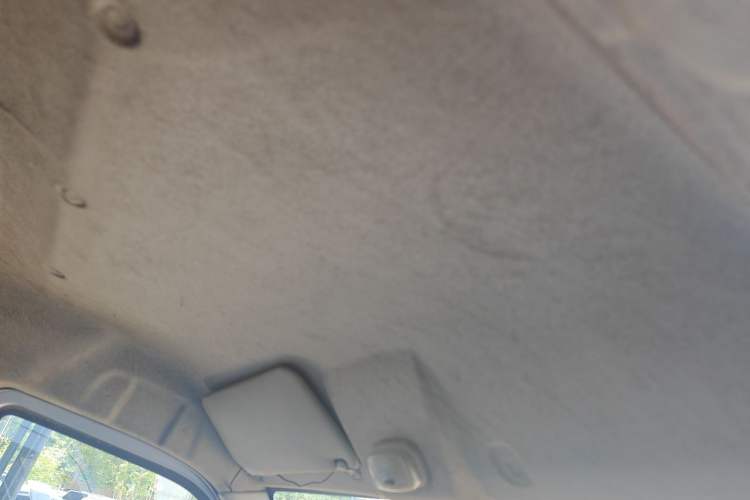 Used Karry Youyou EV  Headliner
