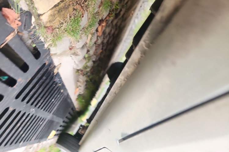 Used Karry Youyou EV 2021 Van Model SQR5037 Chassis Front Left