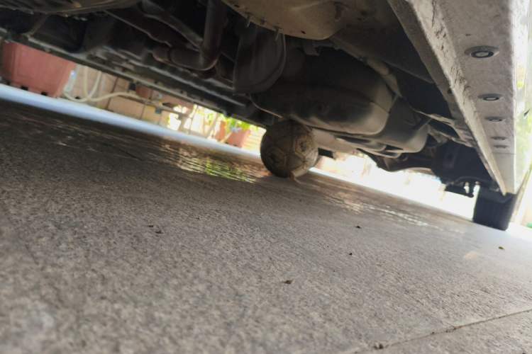 Used KEDE WALD  Chassis Front Left