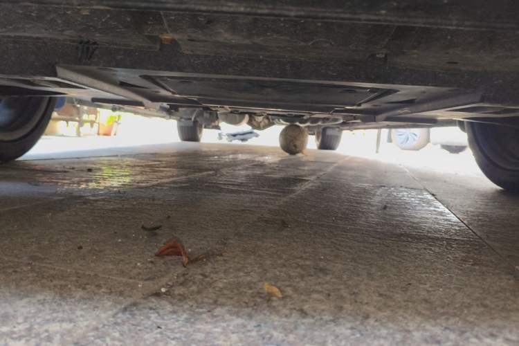 Used KEDE WALD  Chassis Front
