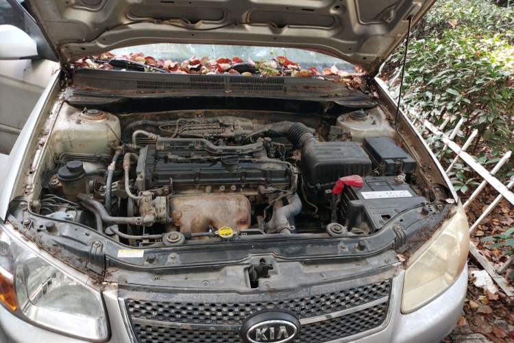 Used Kia 2008 European-style 1.6 MT GL Engine Bay