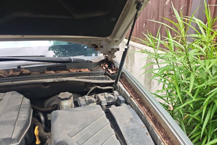 Used Kia Borrego 2008 3.8L Luxury Edition China IV Engine Bay Left