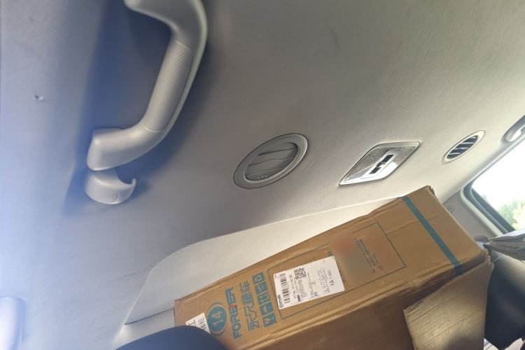 Used Kia Borrego 2008 3.8L Luxury Edition China IV Headliner