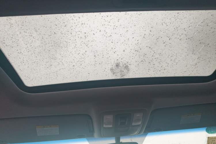 Used Kia Borrego 2008 3.8L Luxury Edition China IV Headliner