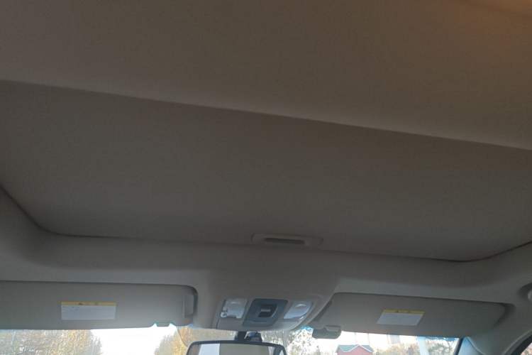 Used Kia Borrego 2008 3.8L Luxury Edition China IV Headliner