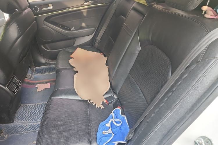 Used Kia Cadenza 2013 2.4L Business Sunroof Version China IV Standard Left Rear Seat