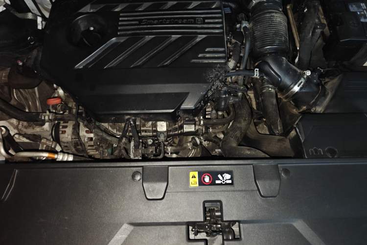 Used Kia Carnival 2021 2.0T Flagship Edition Engine Bay