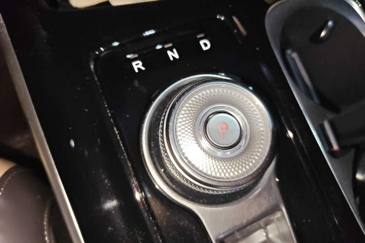 Used Kia Carnival 2021 2.0T Flagship Edition Gear Lever