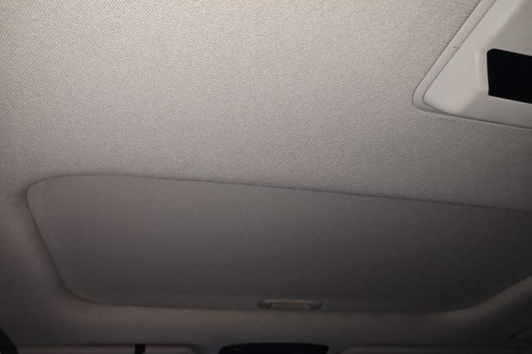 Used Kia Carnival 2021 2.0T Flagship Edition Headliner