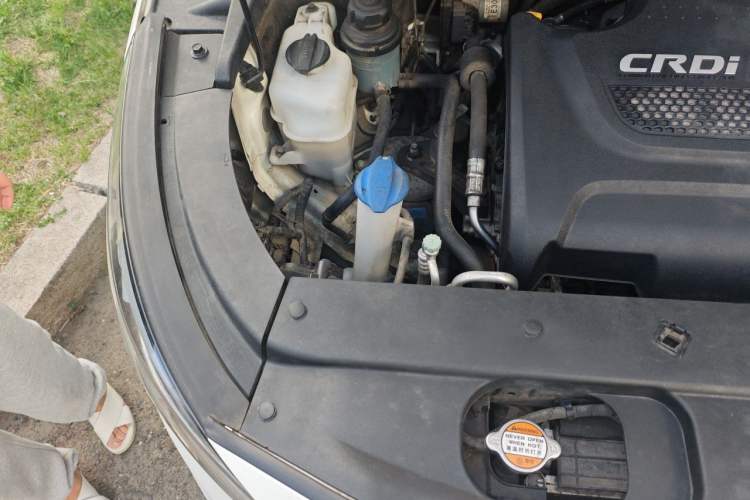 Used Kia Carnival 2015 2.2T Luxury Edition China IV Engine Bay Right