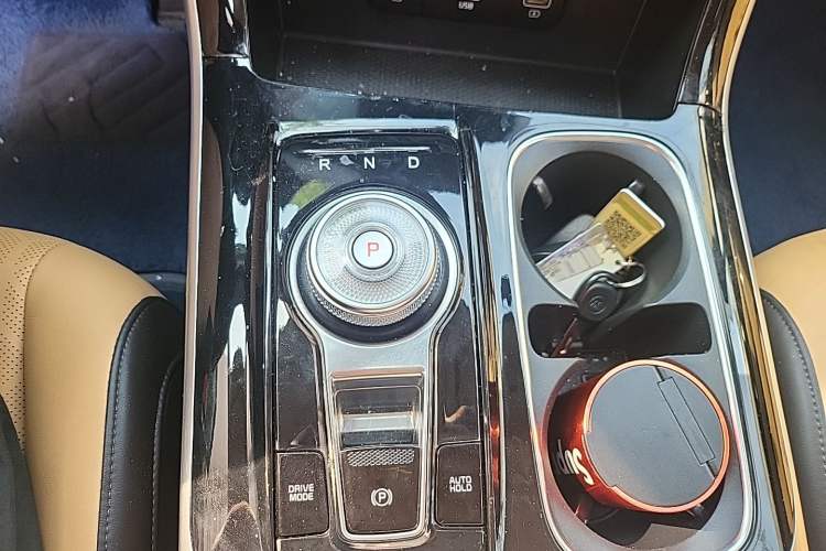 Used Kia Carnival 2021 2.0T Luxury Tech Edition Gear Lever