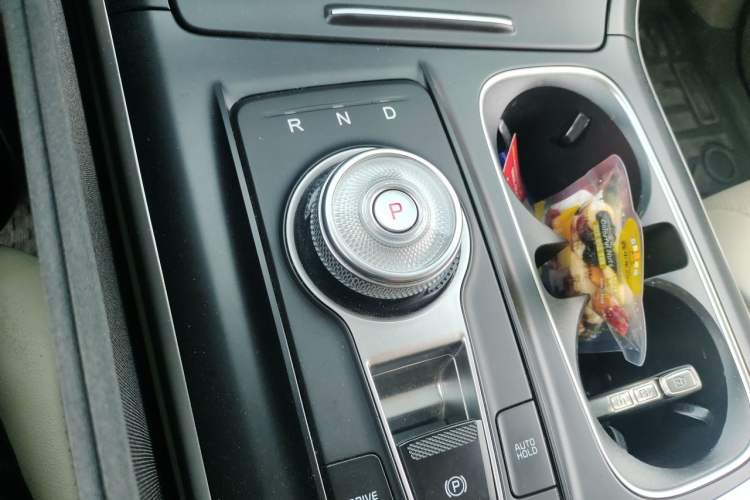 Used Kia Carnival 2021 2.0T Luxury Edition Gear Lever