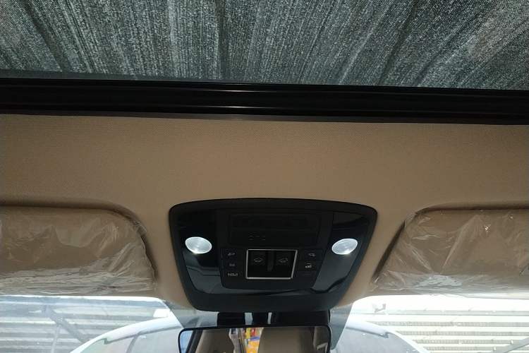 Used Kia Carnival 2021 2.0T Luxury Edition Headliner