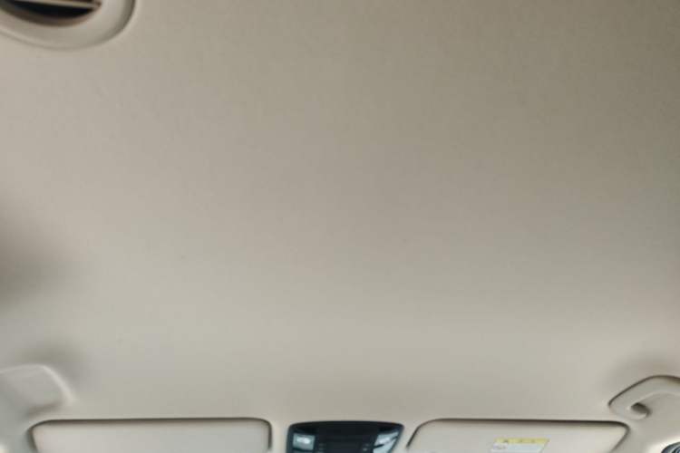 Used Kia Carnival 2021 2.0T Luxury Edition Headliner