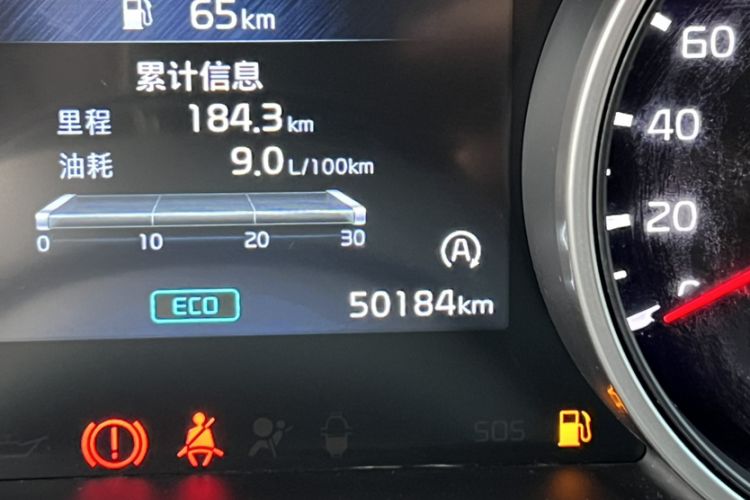 Used Kia Carnival 2021 2.0T Luxury Edition Odometer Close Up