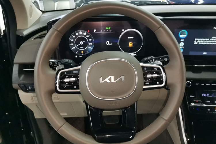 Used Kia Carnival 2021 2.0T Flagship Edition Steering Wheel