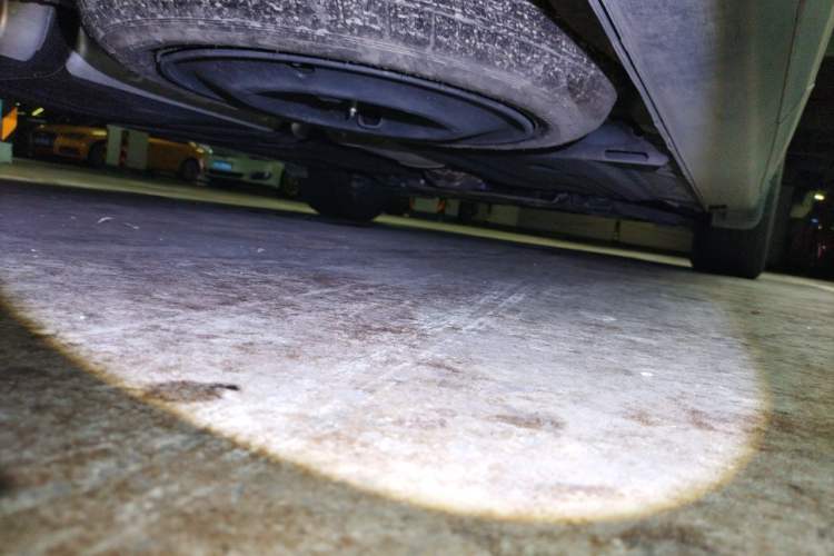 Used Kia Carnival 2021 2.0T Flagship Edition Chassis Front Right