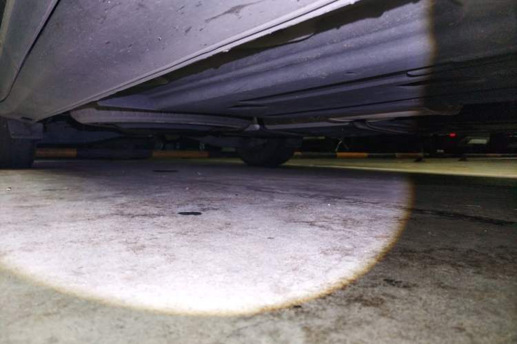 Used Kia Carnival 2021 2.0T Flagship Edition Chassis Rear Right
