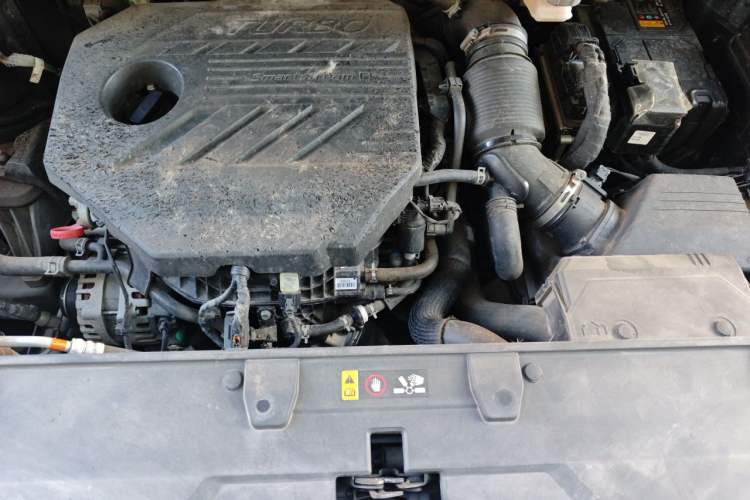Used Kia Carnival 2021 2.0T Flagship Edition Engine Bay