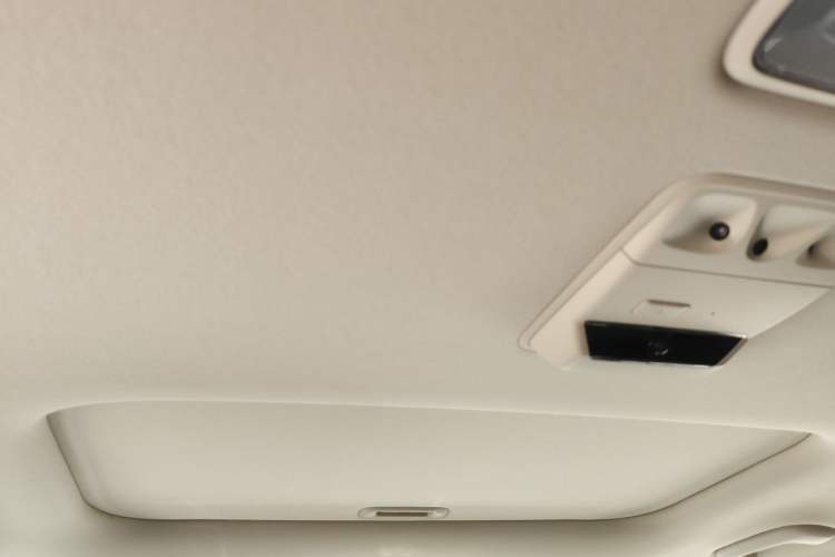 Used Kia Carnival 2021 2.0T Flagship Edition Headliner