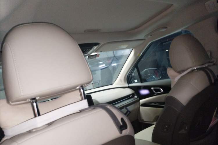Used Kia Carnival 2021 2.0T Flagship Edition Headliner