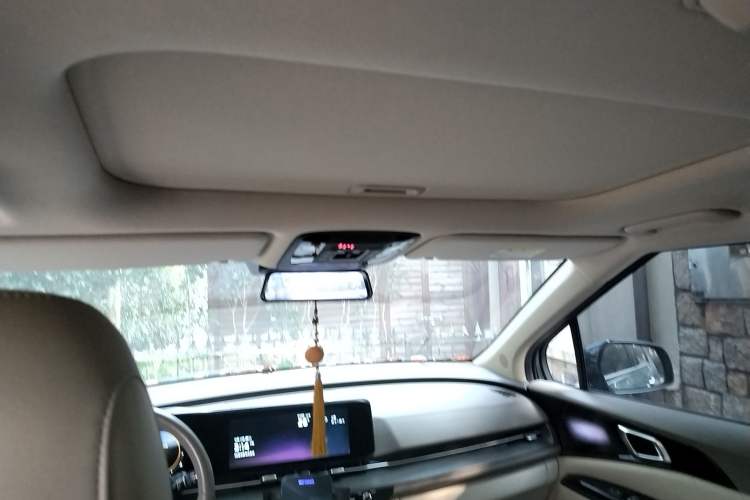 Used Kia Carnival 2021 2.0T Flagship Edition Headliner
