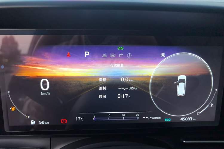 Used Kia Carnival 2021 2.0T Luxury Tech Edition Odometer Close Up