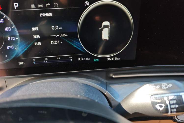Used Kia Carnival 2021 2.0T Flagship Edition Odometer Close Up