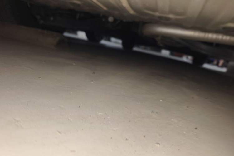 Used Kia Carnival 2021 2.0T Flagship Edition Chassis Front