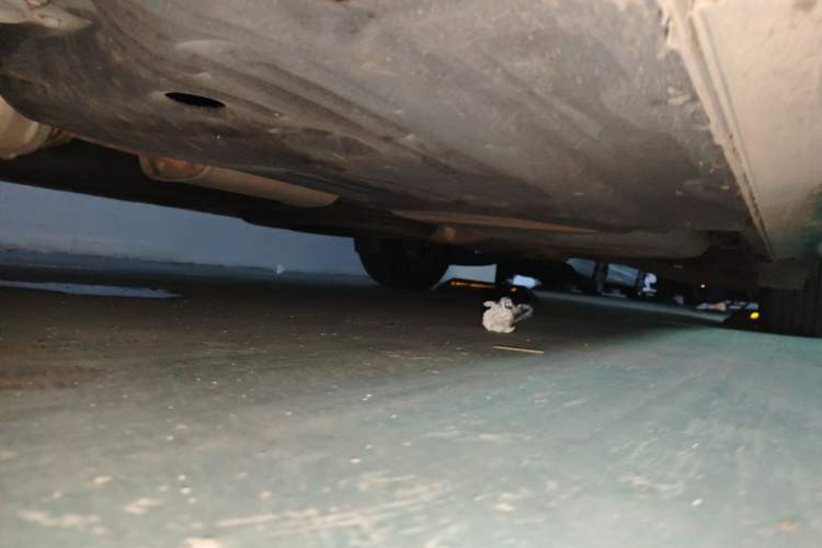 Used Kia Carnival 2021 2.0T Flagship Edition Chassis Front Left