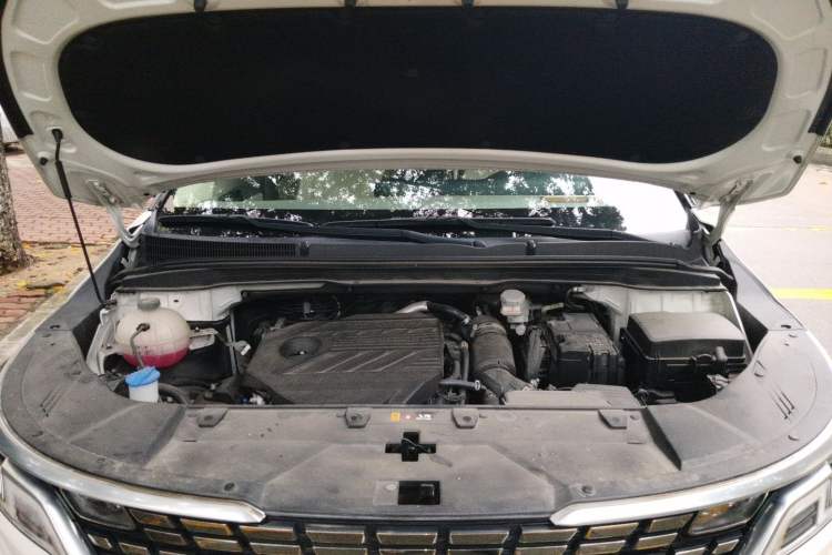 Used Kia Carnival 2021 2.0T Flagship Edition Engine Bay