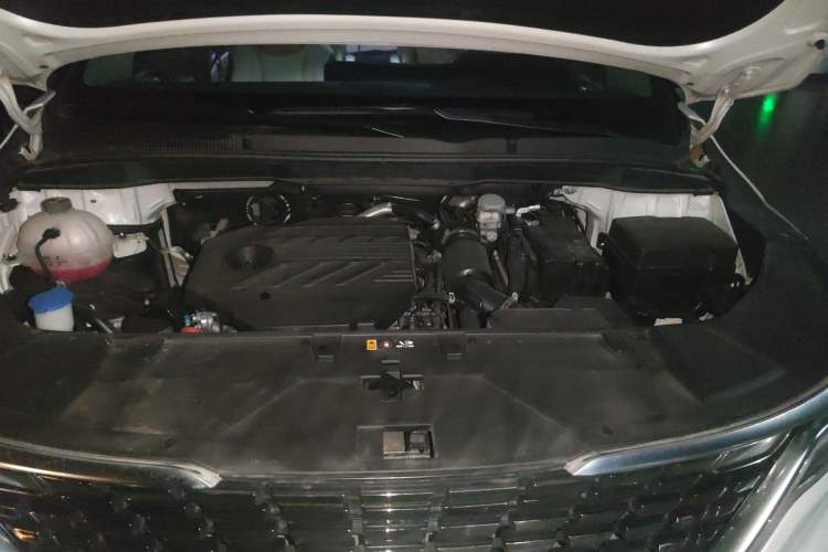 Used Kia Carnival 2021 2.0T Flagship Edition Engine Bay