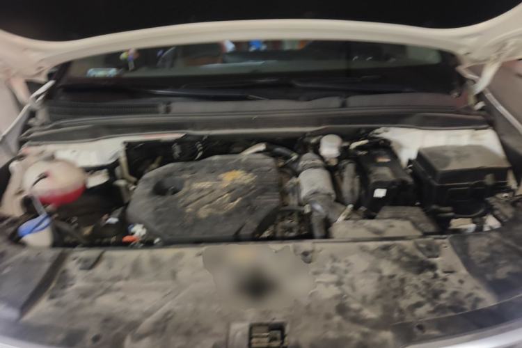 Used Kia Carnival 2021 2.0T Flagship Edition Engine Bay