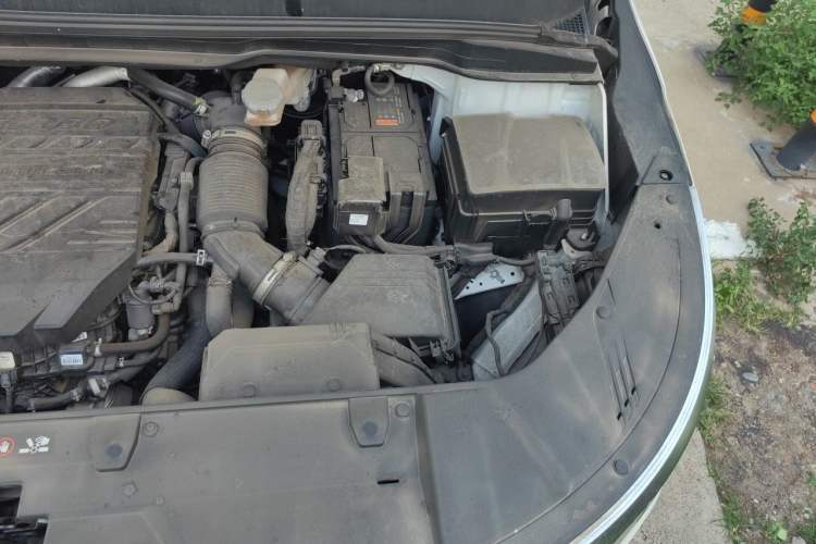 Used Kia Carnival 2021 2.0T Luxury Tech Edition Engine Bay Left