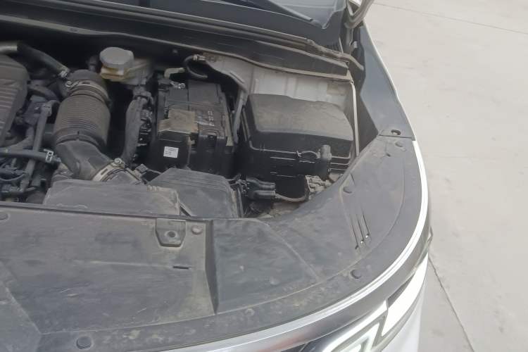 Used Kia Carnival 2021 2.0T Flagship Edition Engine Bay Left