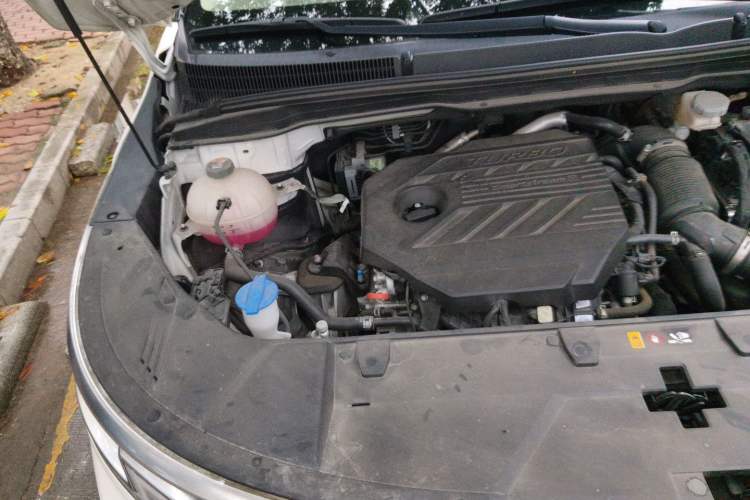 Used Kia Carnival 2021 2.0T Flagship Edition Engine Bay Right