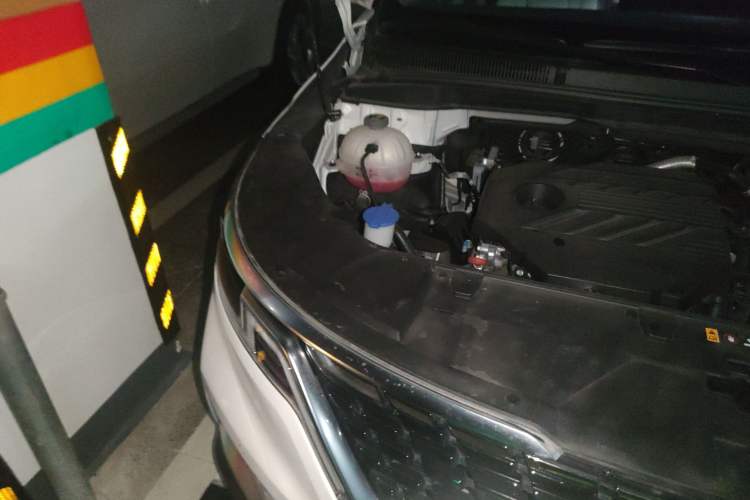 Used Kia Carnival 2021 2.0T Flagship Edition Engine Bay Right
