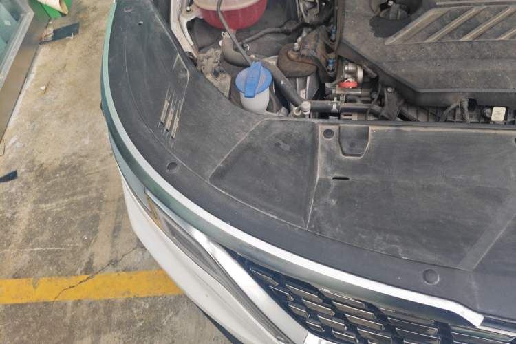 Used Kia Carnival 2021 2.0T Flagship Edition Engine Bay Right