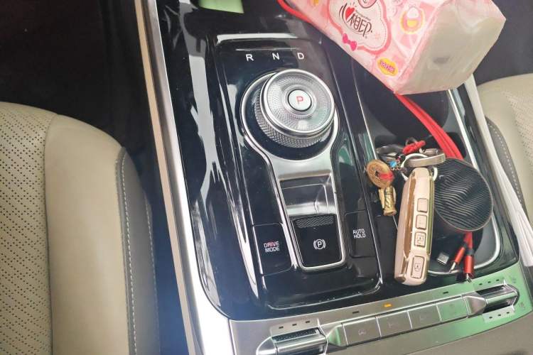 Used Kia Carnival 2021 2.0T Flagship Edition Gear Lever