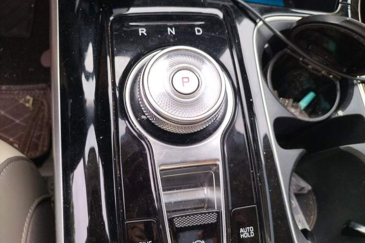 Used Kia Carnival 2021 2.0T Luxury Edition Gear Lever