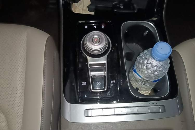 Used Kia Carnival 2021 2.0T Luxury Tech Edition Gear Lever
