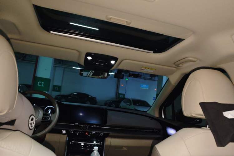 Used Kia Carnival 2021 2.0T Flagship Edition Headliner