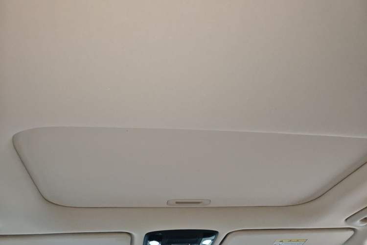 Used Kia Carnival 2021 2.0T Luxury Tech Edition Headliner