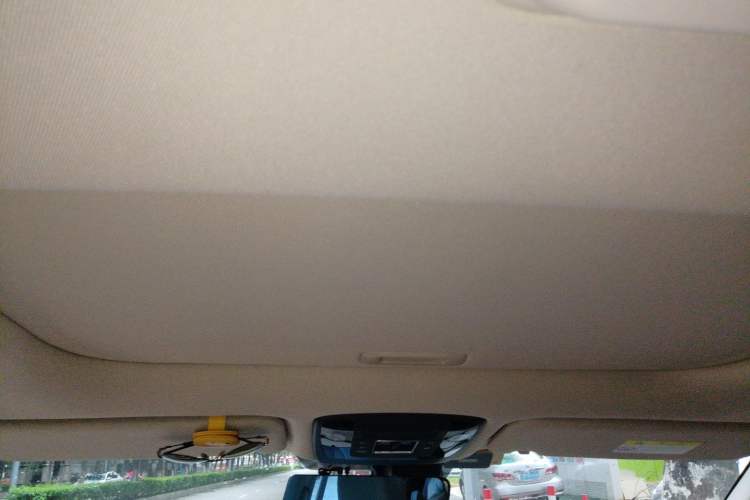Used Kia Carnival 2021 2.0T Flagship Edition Headliner