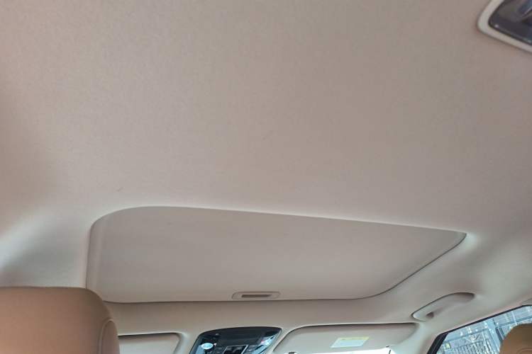 Used Kia Carnival 2021 2.0T Luxury Tech Edition Headliner