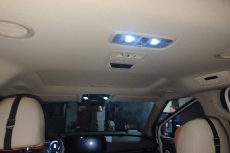 Used Kia Carnival 2021 2.0T Flagship Edition Headliner