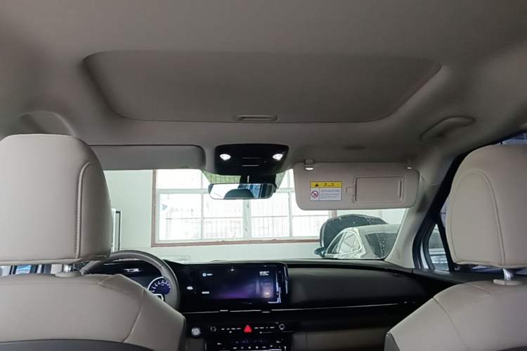 Used Kia Carnival 2021 2.0T Luxury Tech Edition Headliner